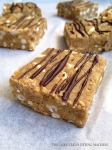 Chocolate Almond Butter No-Bake Protein Squares