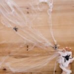 Tarantula spider resting in a terrarium with decorative vines, creating a natural habitat