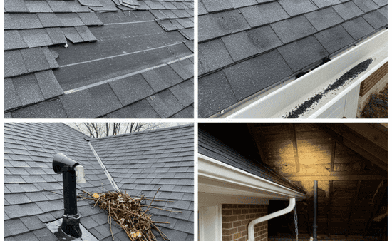 Common Issues Found During Storm Damage Assessment in Hamilton