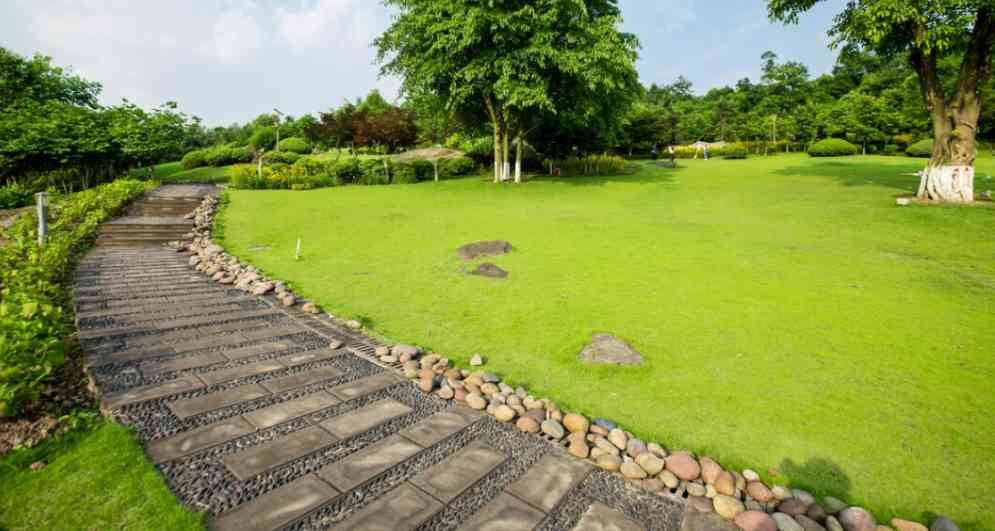 Think Beyond the Lawn High-Impact Landscape Investments