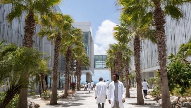 Are Caribbean Medical Schools Easier to Get Into?