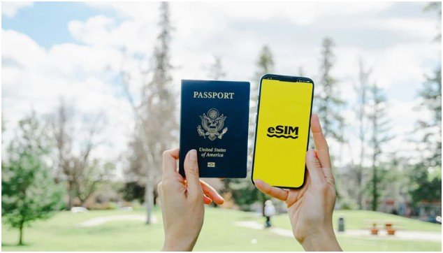 Choosing Plans Based Only On Price