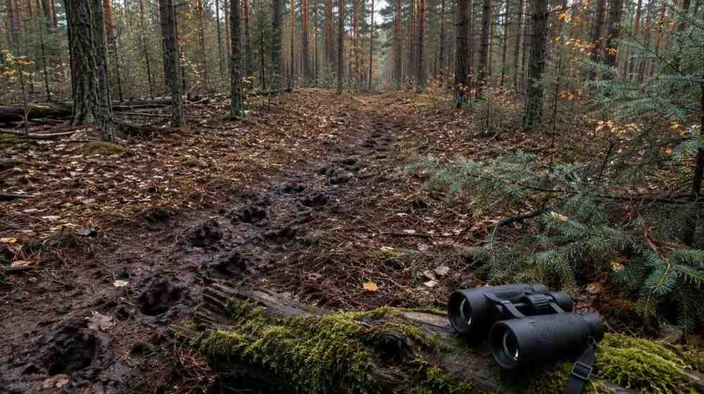 Practicing Leave-No-Trace Conservation