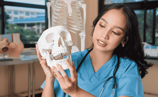 Modern Jaw Anatomy and Space Constraints