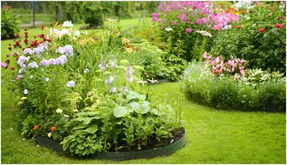 Choose Plants That Support Biodiversity